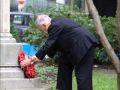 img 7958