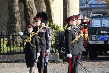 Prince of Wales  70th Birthday Gun Salute  3 