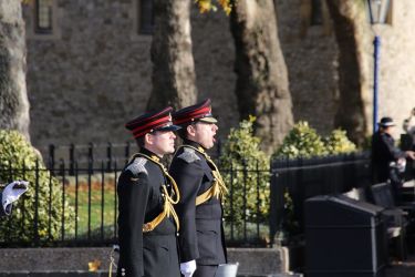 Prince of Wales  70th Birthday Gun Salute  5 