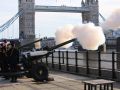 Prince of Wales  70th Birthday Gun Salute  6 