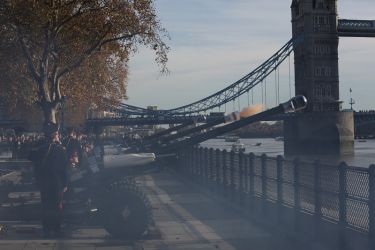 Prince of Wales  70th Birthday Gun Salute  8 