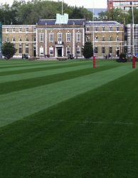 rugby pitch