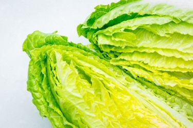 Searcys Summer Food 2018 45